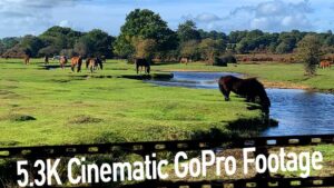 GoPro Hero 11 Cinematic Footage 10 Bit Color